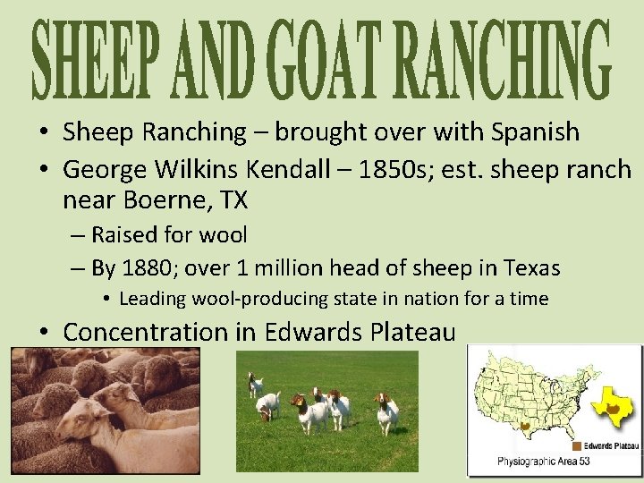  • Sheep Ranching – brought over with Spanish • George Wilkins Kendall –