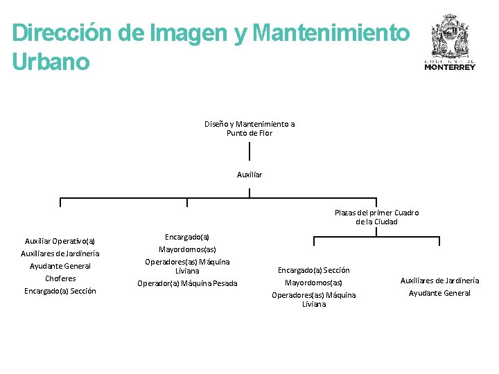 Dirección de Imagen y Mantenimiento Urbano Diseño y Mantenimiento a Punto de Flor Auxiliar