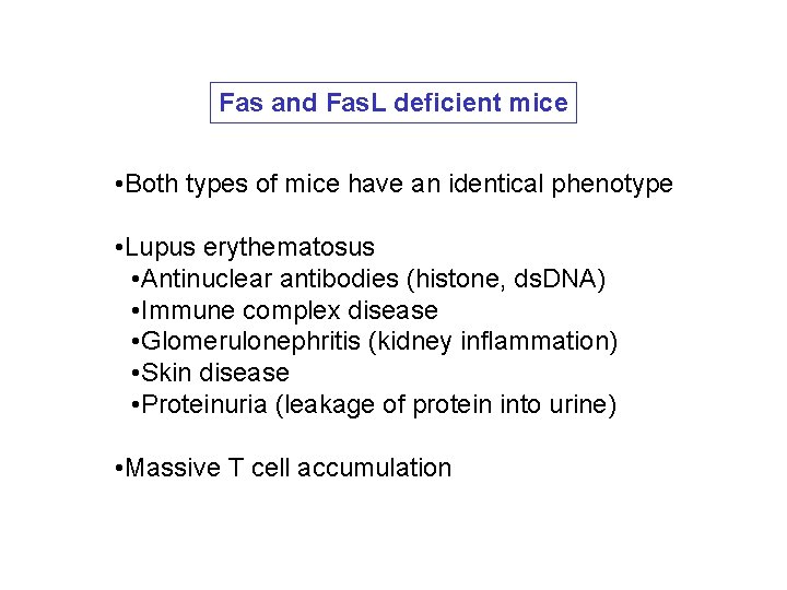Fas and Fas. L deficient mice • Both types of mice have an identical