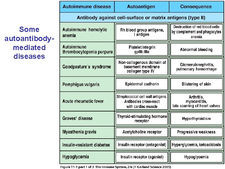 Some autoantibodymediated diseases 