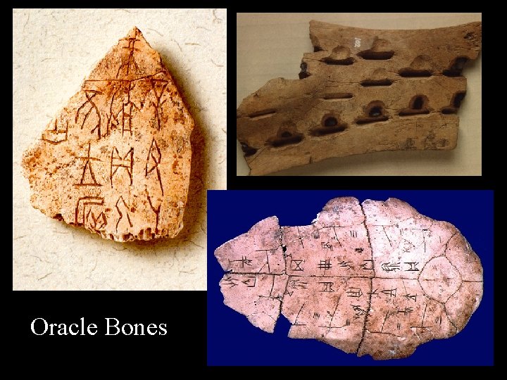 Oracle Bones 