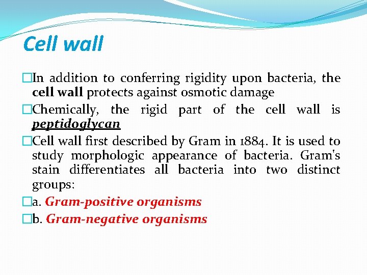 Cell wall �In addition to conferring rigidity upon bacteria, the cell wall protects against