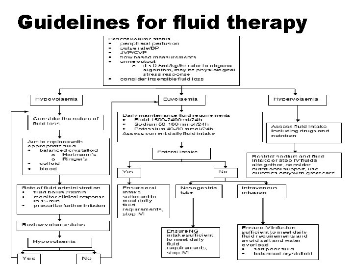 Guidelines for fluid therapy 