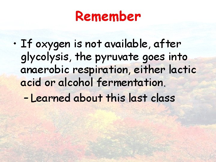 Remember • If oxygen is not available, after glycolysis, the pyruvate goes into anaerobic