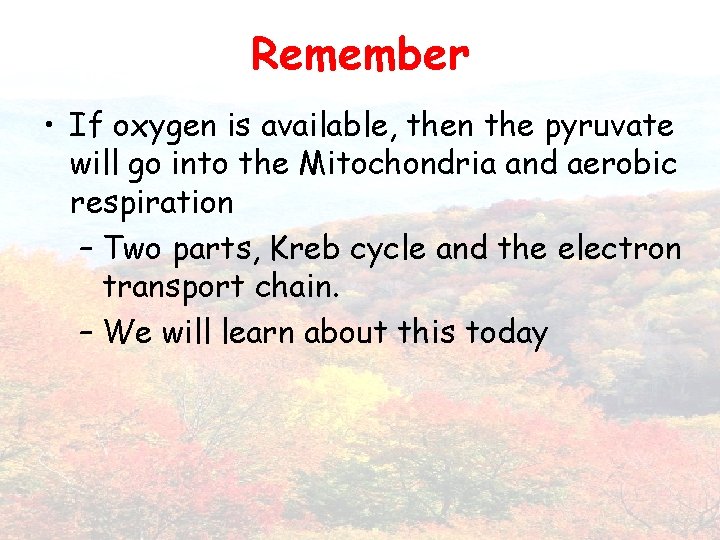 Remember • If oxygen is available, then the pyruvate will go into the Mitochondria