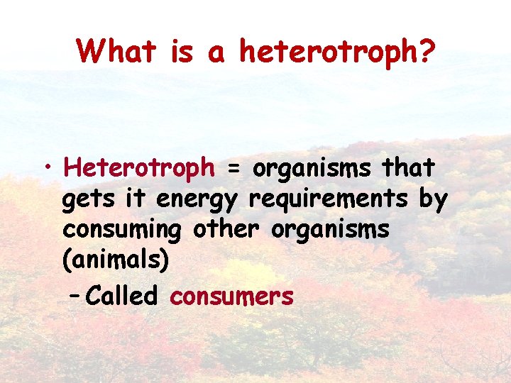 What is a heterotroph? • Heterotroph = organisms that gets it energy requirements by