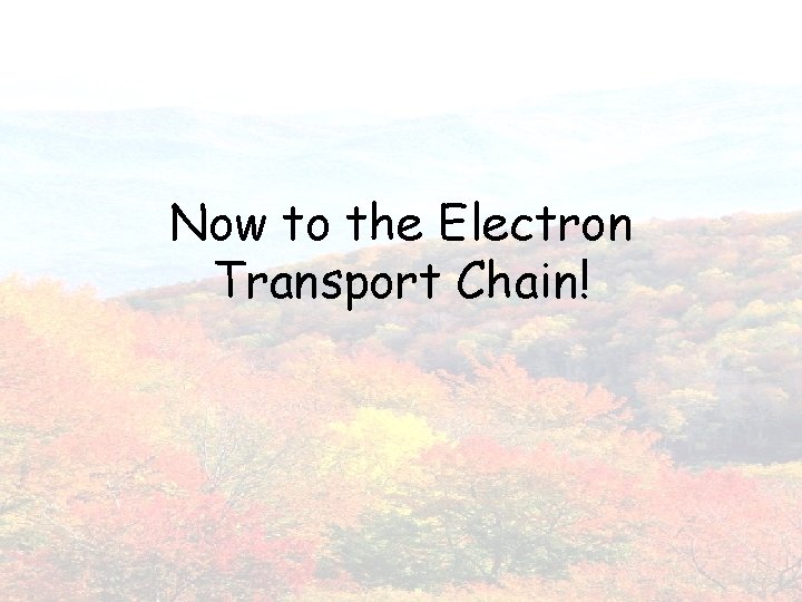 Now to the Electron Transport Chain! 