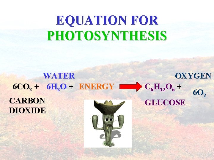 EQUATION FOR PHOTOSYNTHESIS WATER 6 CO 2 + 6 H 2 O + ENERGY