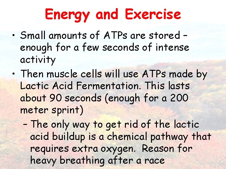 Energy and Exercise • Small amounts of ATPs are stored – enough for a