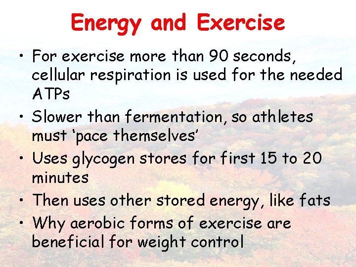 Energy and Exercise • For exercise more than 90 seconds, cellular respiration is used