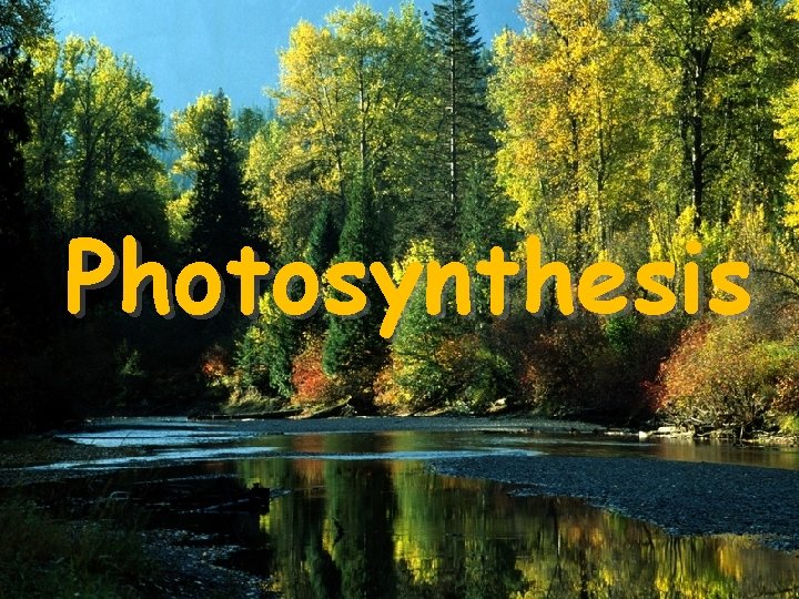 Photosynthesis 