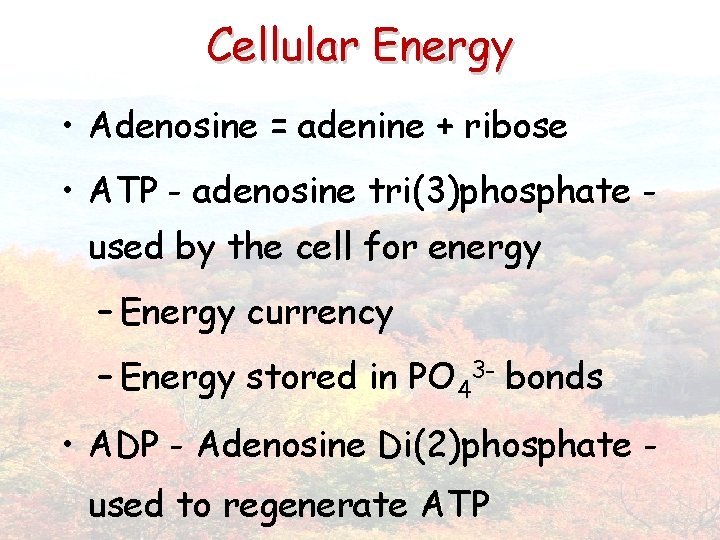 Cellular Energy • Adenosine = adenine + ribose • ATP - adenosine tri(3)phosphate used