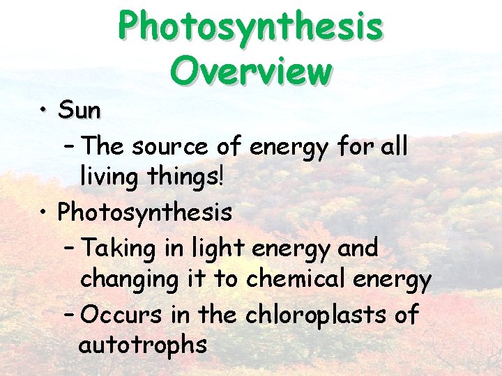 Photosynthesis Overview • Sun – The source of energy for all living things! •