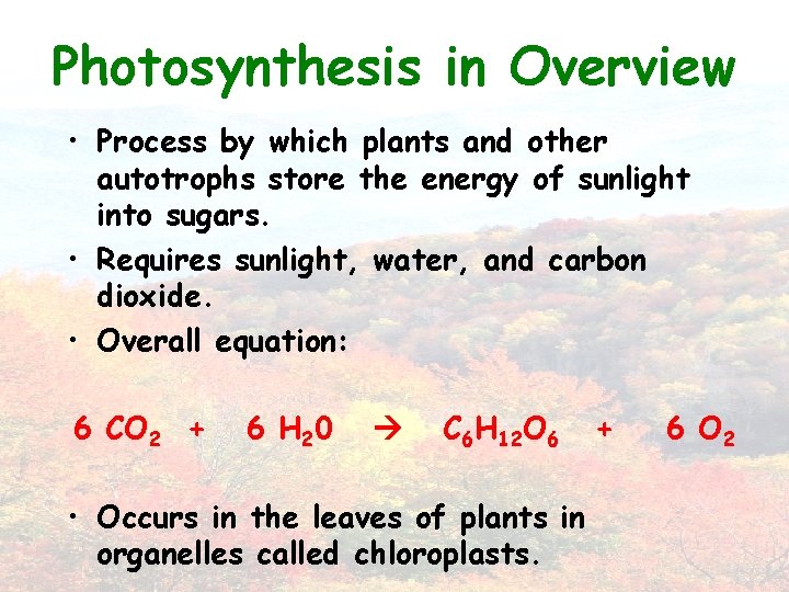 Photosynthesis in Overview • Process by which plants and other autotrophs store the energy