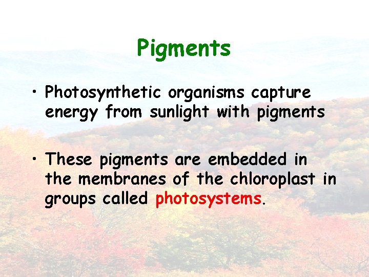 Pigments • Photosynthetic organisms capture energy from sunlight with pigments • These pigments are