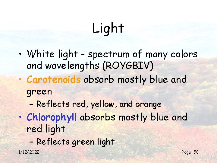 Light • White light - spectrum of many colors and wavelengths (ROYGBIV) • Carotenoids