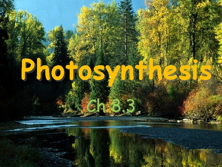 Photosynthesis Ch 8. 3 