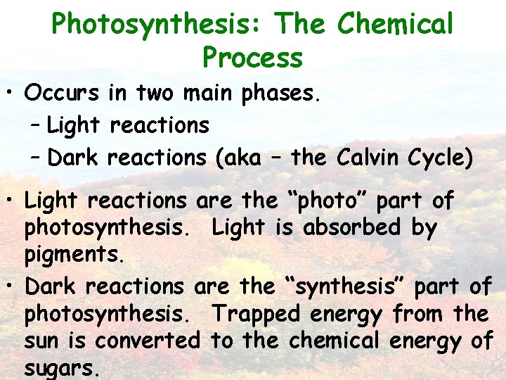 Photosynthesis: The Chemical Process • Occurs in two main phases. – Light reactions –