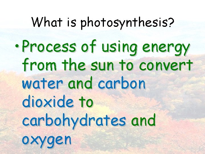 What is photosynthesis? • Process of using energy from the sun to convert water