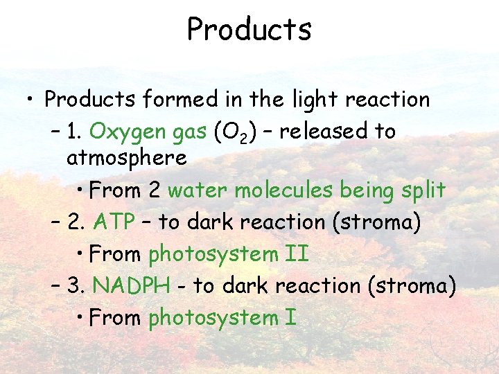 Products • Products formed in the light reaction – 1. Oxygen gas (O 2)