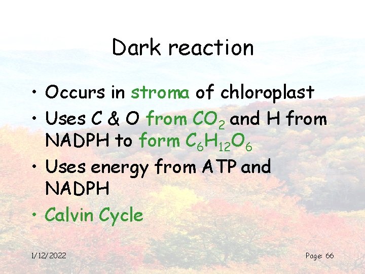 Dark reaction • Occurs in stroma of chloroplast • Uses C & O from