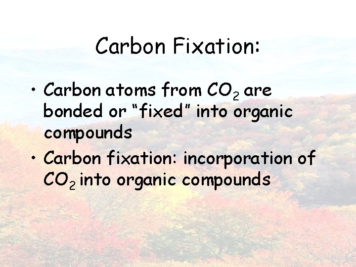 Carbon Fixation: • Carbon atoms from CO 2 are bonded or “fixed” into organic