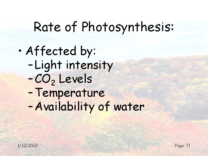 Rate of Photosynthesis: • Affected by: – Light intensity – CO 2 Levels –