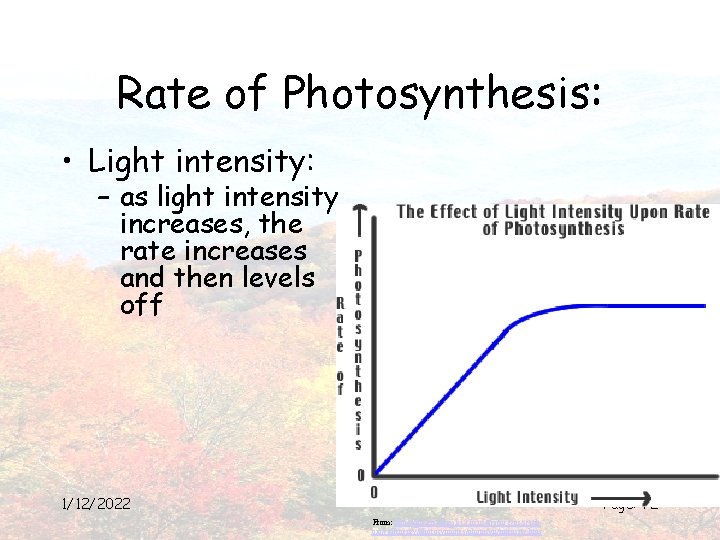 Rate of Photosynthesis: • Light intensity: – as light intensity increases, the rate increases