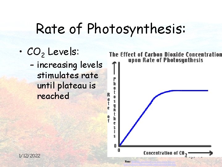 Rate of Photosynthesis: • CO 2 Levels: – increasing levels stimulates rate until plateau