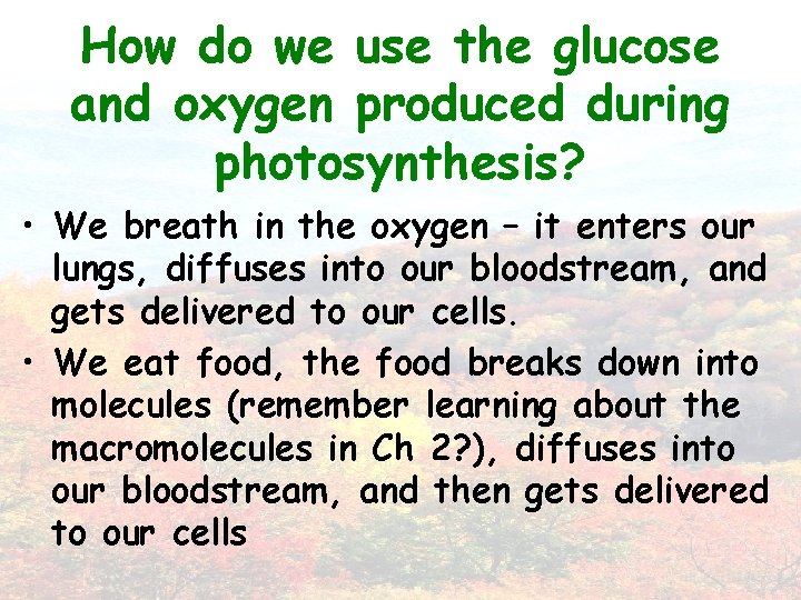 How do we use the glucose and oxygen produced during photosynthesis? • We breath