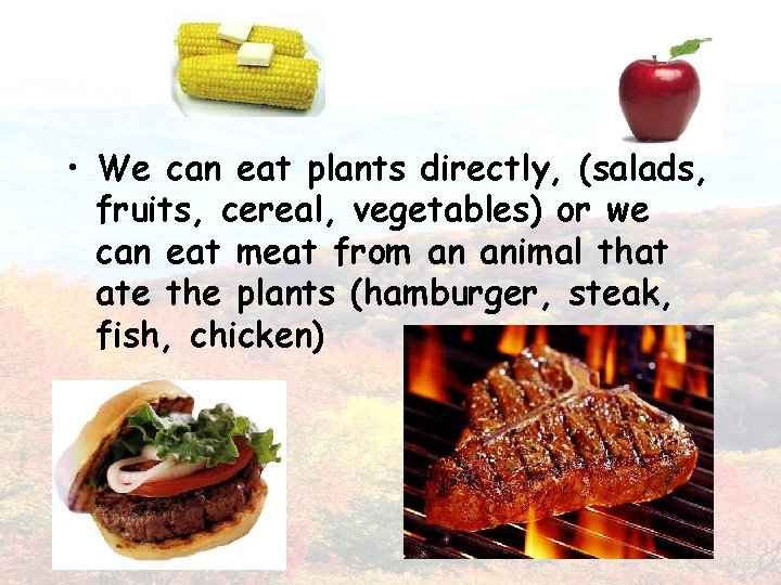  • We can eat plants directly, (salads, fruits, cereal, vegetables) or we can