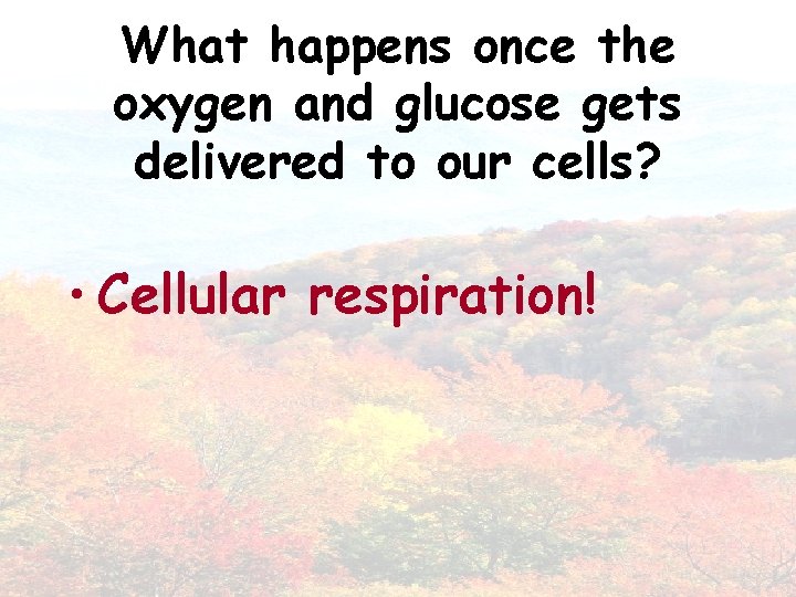 What happens once the oxygen and glucose gets delivered to our cells? • Cellular