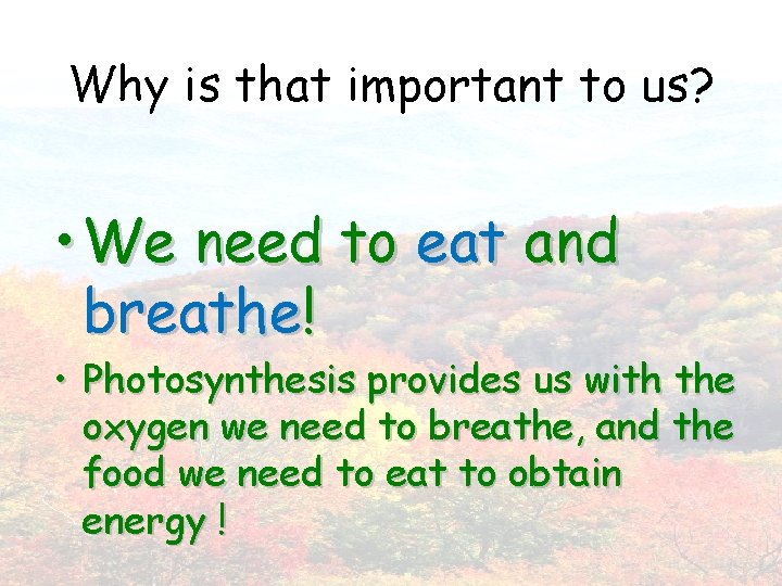 Why is that important to us? • We need to eat and breathe! •