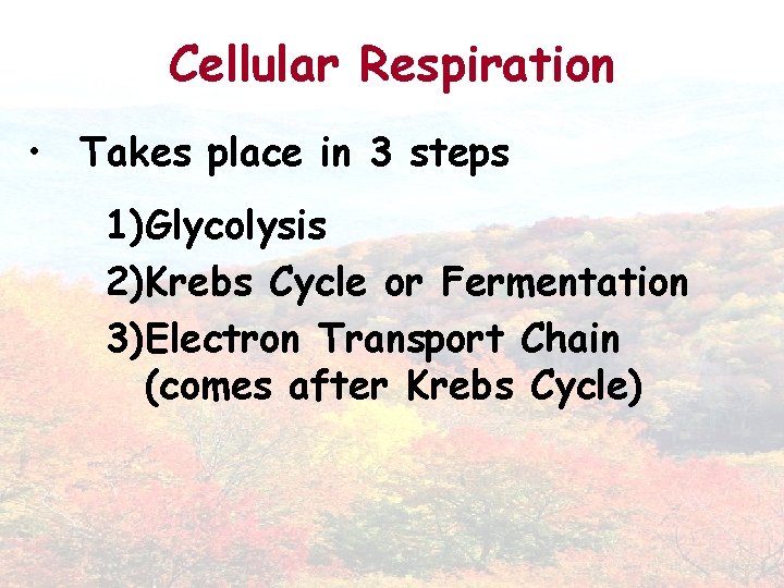 Cellular Respiration • Takes place in 3 steps 1)Glycolysis 2)Krebs Cycle or Fermentation 3)Electron