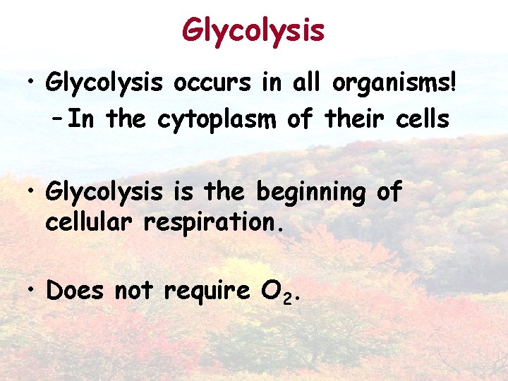 Glycolysis • Glycolysis occurs in all organisms! – In the cytoplasm of their cells