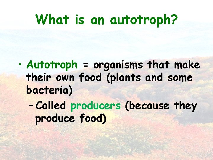 What is an autotroph? • Autotroph = organisms that make their own food (plants