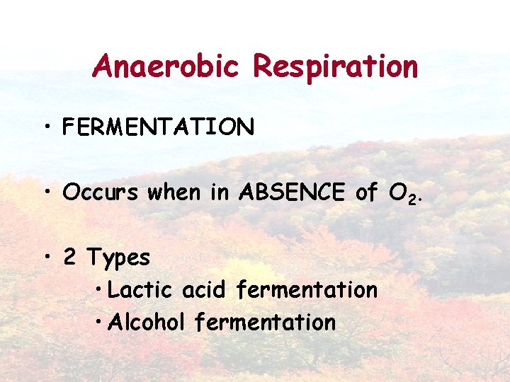 Anaerobic Respiration • FERMENTATION • Occurs when in ABSENCE of O 2. • 2