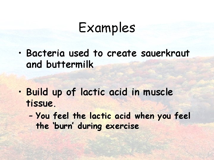 Examples • Bacteria used to create sauerkraut and buttermilk • Build up of lactic