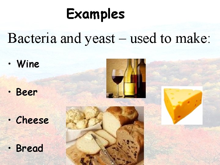Examples Bacteria and yeast – used to make: • Wine • Beer • Cheese