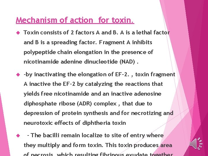 Mechanism of action for toxin. Toxin consists of 2 factors A and B. A