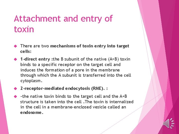 Attachment and entry of toxin There are two mechanisms of toxin entry into target