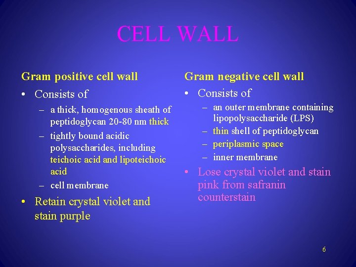 CELL WALL Gram positive cell wall • Consists of – a thick, homogenous sheath
