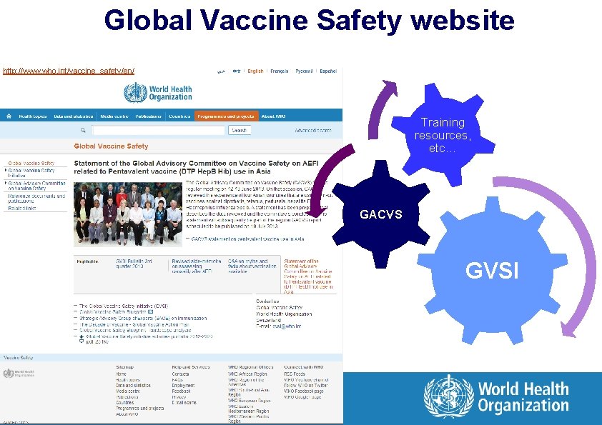 Global Vaccine Safety website http: //www. who. int/vaccine_safety/en/ Training resources, etc… GACVS GVSI 19