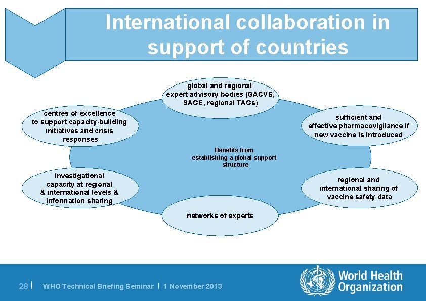 International collaboration in support of countries global and regional expert advisory bodies (GACVS, SAGE,