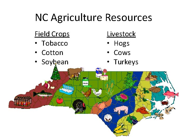 NC Agriculture Resources Field Crops • Tobacco • Cotton • Soybean Livestock • Hogs