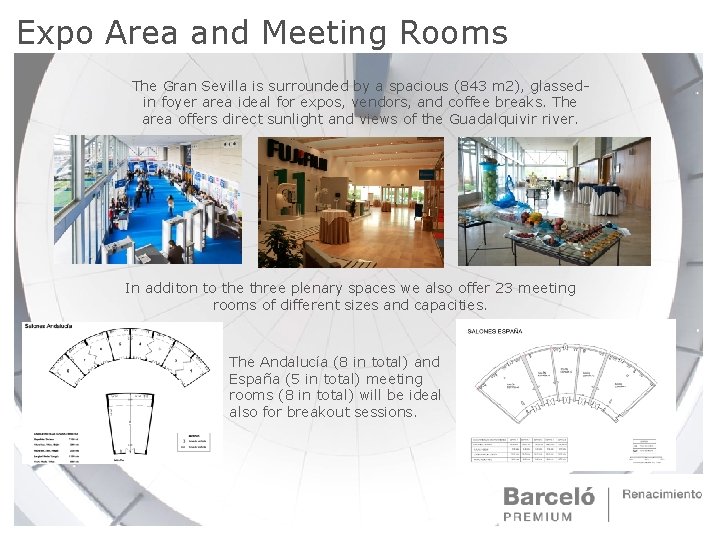 Expo Area and Meeting Rooms The Gran Sevilla is surrounded by a spacious (843