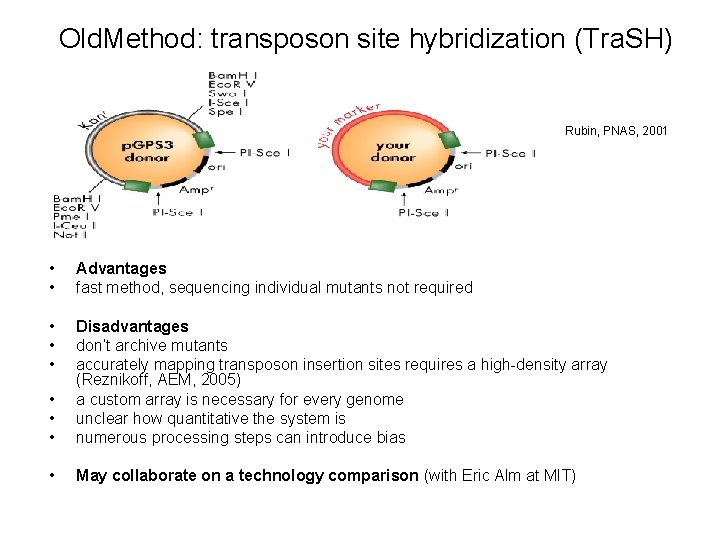 Old. Method: transposon site hybridization (Tra. SH) Rubin, PNAS, 2001 • • Advantages fast