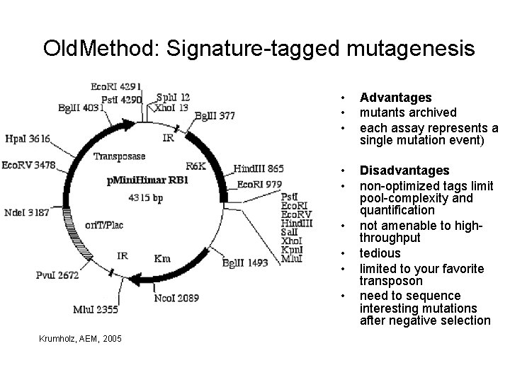Old. Method: Signature-tagged mutagenesis • • • Advantages mutants archived each assay represents a