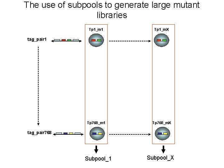 The use of subpools to generate large mutant libraries Tp 1_m 1 Tp 1_m.