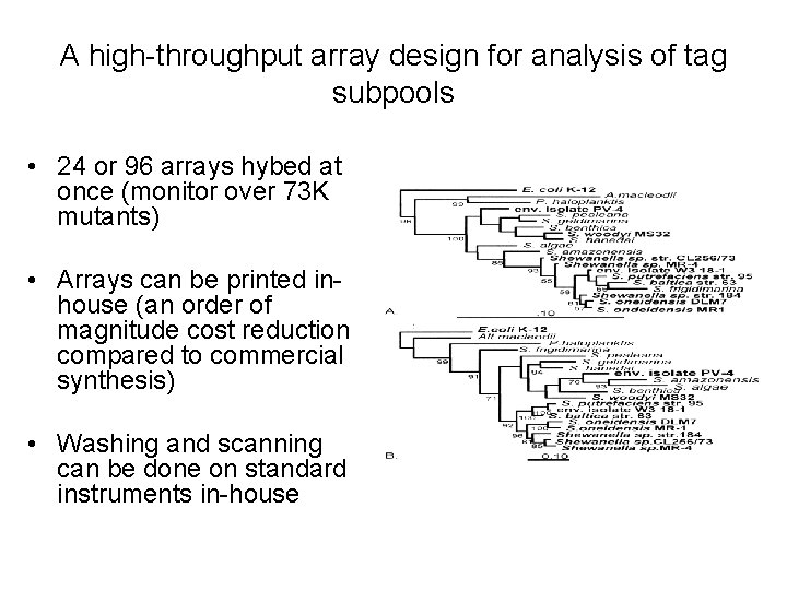 A high-throughput array design for analysis of tag subpools • 24 or 96 arrays
